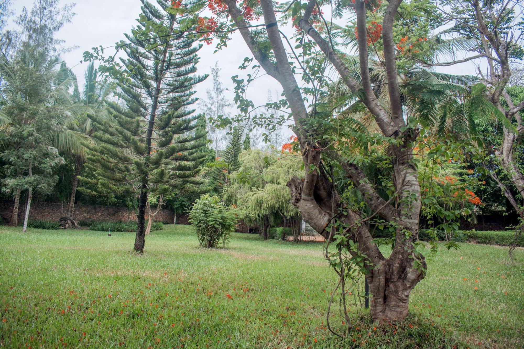 Kijani Cottages In Diani Diani Beach Exterior photo